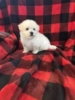 processed/fb07f53f-ab13-4c64-aabb-6380853460af/listing/40b59b84-9eb7-4746-a448-4cc8226552dd/21796782-66d2-43e3-a5d7-34399769e8bd