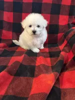 processed/fb07f53f-ab13-4c64-aabb-6380853460af/listing/40b59b84-9eb7-4746-a448-4cc8226552dd/8fc3437a-abad-4056-8f26-662d543f5b1d