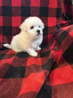 processed/fb07f53f-ab13-4c64-aabb-6380853460af/listing/40b59b84-9eb7-4746-a448-4cc8226552dd/a25cd3d7-ecb3-4576-8842-657328f63cf2