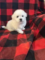 processed/fb07f53f-ab13-4c64-aabb-6380853460af/listing/40b59b84-9eb7-4746-a448-4cc8226552dd/a3c1a848-7de2-4af8-a0f0-49171d4e913c