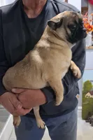 processed/fb0dab65-faac-430b-8343-1167e906e693/listing/3e6ceb42-47ed-4f46-b50c-5e2f358ebf5b/5bdecb5d-6228-4477-a748-c3e1bafbb977