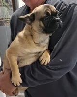 processed/fb0dab65-faac-430b-8343-1167e906e693/listing/3e6ceb42-47ed-4f46-b50c-5e2f358ebf5b/609cf53c-b2f9-4ad4-9c91-da2321ddc58f