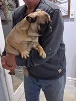 processed/fb0dab65-faac-430b-8343-1167e906e693/listing/3e6ceb42-47ed-4f46-b50c-5e2f358ebf5b/7850373e-01d3-42c4-883b-5282856e50dc