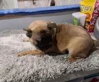 processed/fb0dab65-faac-430b-8343-1167e906e693/listing/3e6ceb42-47ed-4f46-b50c-5e2f358ebf5b/da71cc9a-3397-4aa4-b443-7bf75ad05e71