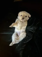 processed/fb1c357e-2294-4f13-acb5-69db843765ee/listing/37fc0ca1-7955-4e21-9dd9-4350d53ca55c/b5e8ae5d-2edb-4767-b7e5-80c9d873dc84