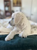 processed/fb1c357e-2294-4f13-acb5-69db843765ee/listing/37fc0ca1-7955-4e21-9dd9-4350d53ca55c/cf182848-6e2a-429b-a6ba-6ec44da536aa