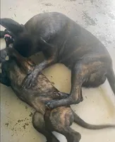 processed/fb225ce7-3e06-4363-afe2-b1c4a42039be/facility/0382add8-cd12-4cde-a343-5c3ec3d9cd37