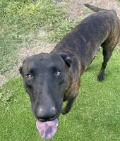 processed/fb225ce7-3e06-4363-afe2-b1c4a42039be/facility/35a39735-617b-4d83-937c-36bbb54dcef7