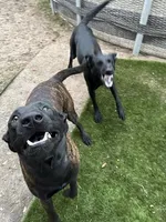 processed/fb225ce7-3e06-4363-afe2-b1c4a42039be/facility/8e06ce3f-e21e-4022-b550-801499bb11b8