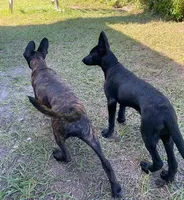 processed/fb225ce7-3e06-4363-afe2-b1c4a42039be/facility/93d5c5a9-1e02-43c6-a085-3e1c261f4227