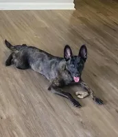 processed/fb225ce7-3e06-4363-afe2-b1c4a42039be/facility/a734fc59-cf56-4193-bcc5-84fd639b2341