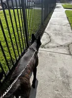 processed/fb225ce7-3e06-4363-afe2-b1c4a42039be/facility/b121800a-e4a5-498b-a27b-b9686f464507