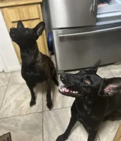 processed/fb225ce7-3e06-4363-afe2-b1c4a42039be/facility/e96223ba-9301-48a6-a503-2cff1c12e5ed