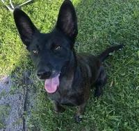 processed/fb225ce7-3e06-4363-afe2-b1c4a42039be/facility/fc5ac39d-6460-4fdd-9387-7978882c98b3