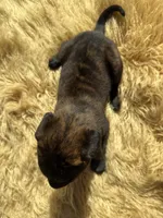 processed/fb225ce7-3e06-4363-afe2-b1c4a42039be/listing/162c9679-101f-43cc-9249-59b4df88761d/18fa8a8b-bd99-45c3-a118-2dcd7d358b5b