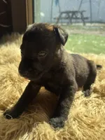 processed/fb225ce7-3e06-4363-afe2-b1c4a42039be/listing/162c9679-101f-43cc-9249-59b4df88761d/6329b49e-a132-46fa-9fec-a4c1c4057569