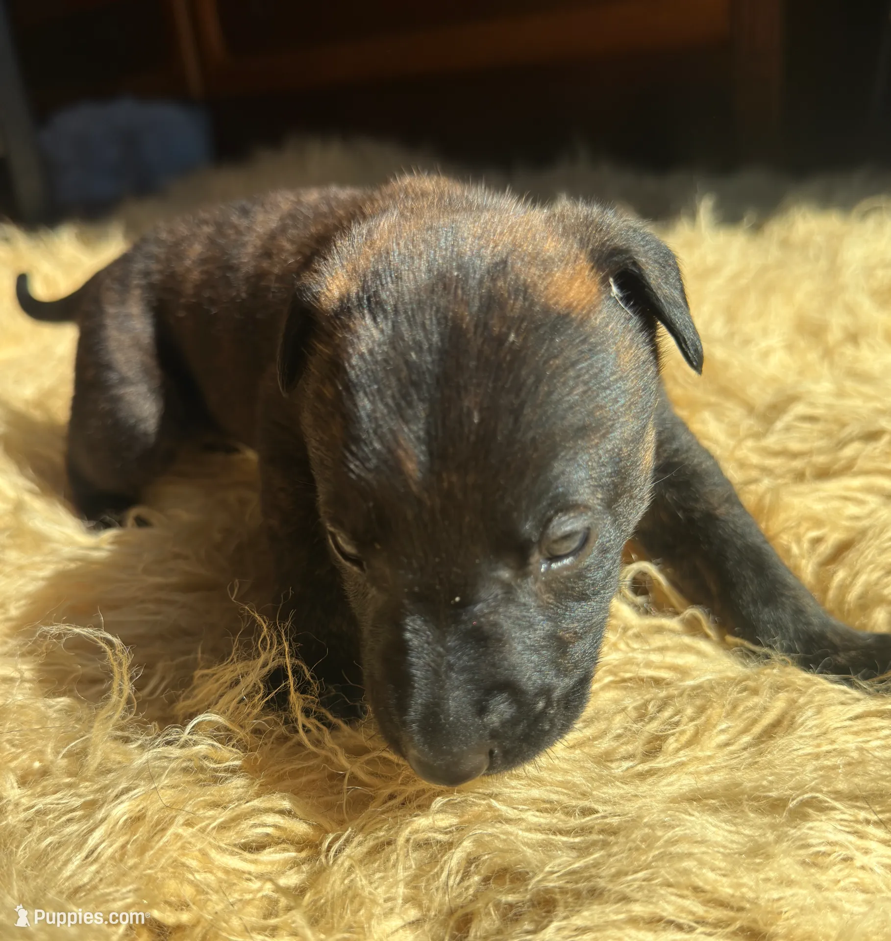 processed/fb225ce7-3e06-4363-afe2-b1c4a42039be/listing/162c9679-101f-43cc-9249-59b4df88761d/e6bd97f5-0bd4-4b0e-bdec-b333b9710b19