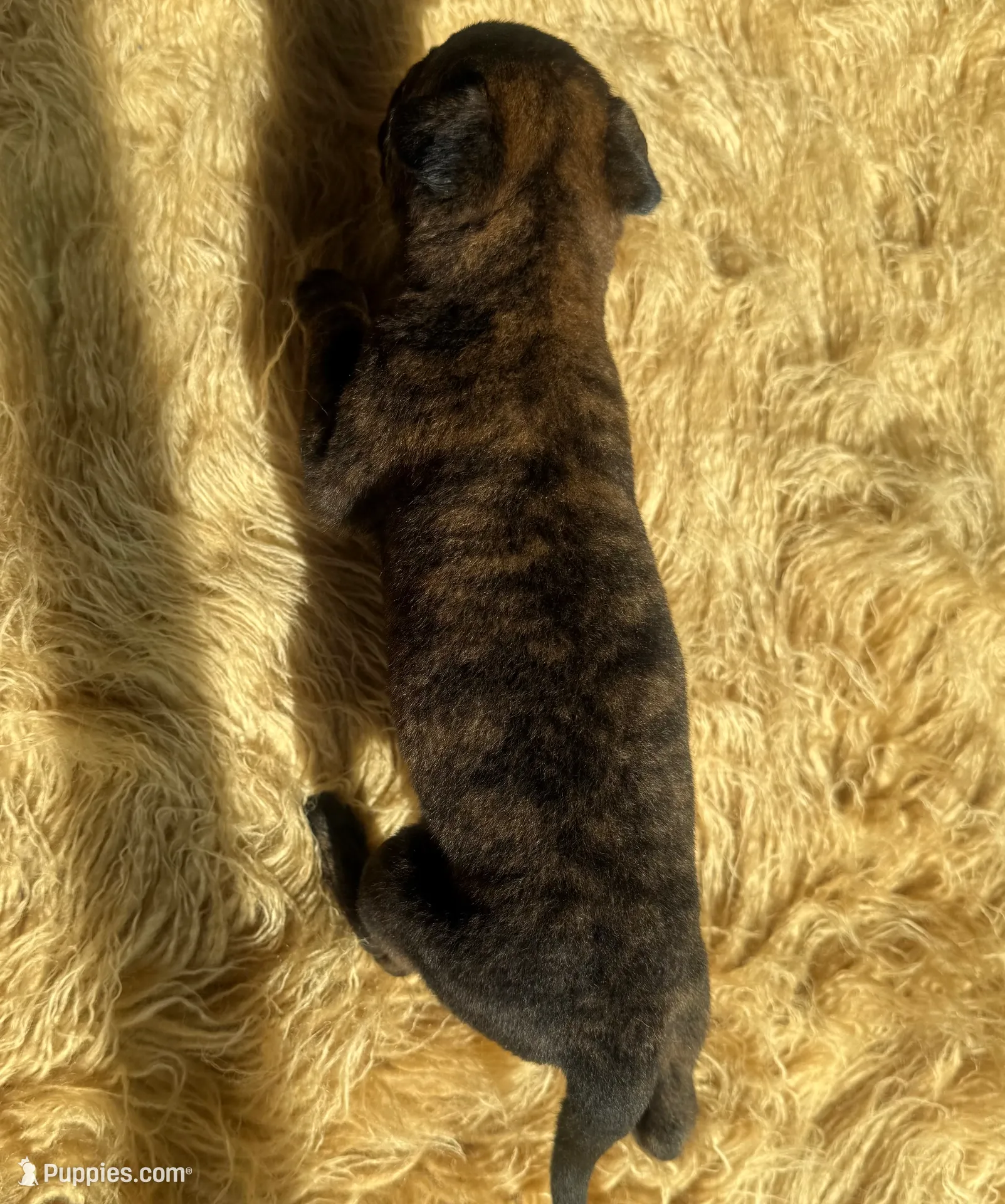 processed/fb225ce7-3e06-4363-afe2-b1c4a42039be/listing/3869c34a-daec-44d6-a18c-9122052c1135/fe395ccf-2d12-43a0-9264-fdb86448c94e