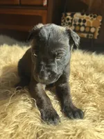 processed/fb225ce7-3e06-4363-afe2-b1c4a42039be/listing/8cb8648e-2fc1-4714-84f9-ee7ad2fb9dd9/170ae0db-8e1c-4f91-b5f7-c8c571b7e670