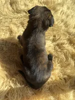 processed/fb225ce7-3e06-4363-afe2-b1c4a42039be/listing/8cb8648e-2fc1-4714-84f9-ee7ad2fb9dd9/3630697e-afb1-44a5-8beb-992ccb456080