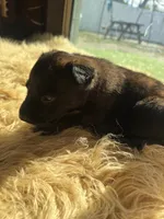 processed/fb225ce7-3e06-4363-afe2-b1c4a42039be/listing/8cb8648e-2fc1-4714-84f9-ee7ad2fb9dd9/86091801-9916-4507-89aa-e3bd97175376