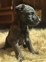 processed/fb225ce7-3e06-4363-afe2-b1c4a42039be/listing/8cb8648e-2fc1-4714-84f9-ee7ad2fb9dd9/b7d229a6-b852-46a9-beae-b37e38b645cb