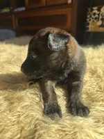 processed/fb225ce7-3e06-4363-afe2-b1c4a42039be/listing/8cb8648e-2fc1-4714-84f9-ee7ad2fb9dd9/f633b660-32f6-491a-a9ff-f8784f0c4dbe