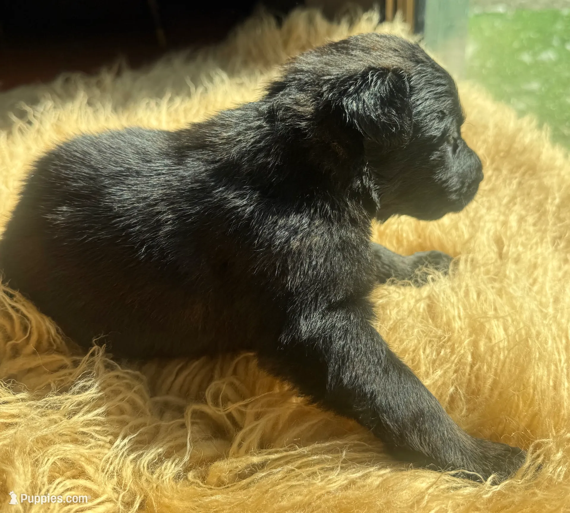 processed/fb225ce7-3e06-4363-afe2-b1c4a42039be/listing/edff5f77-53e0-4663-8291-49b66714ad33/0bc3cc6b-3c12-49cc-bad8-60c5898c9263