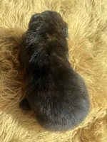 processed/fb225ce7-3e06-4363-afe2-b1c4a42039be/listing/edff5f77-53e0-4663-8291-49b66714ad33/caa182a6-9653-4970-9b11-0a60a05ad242