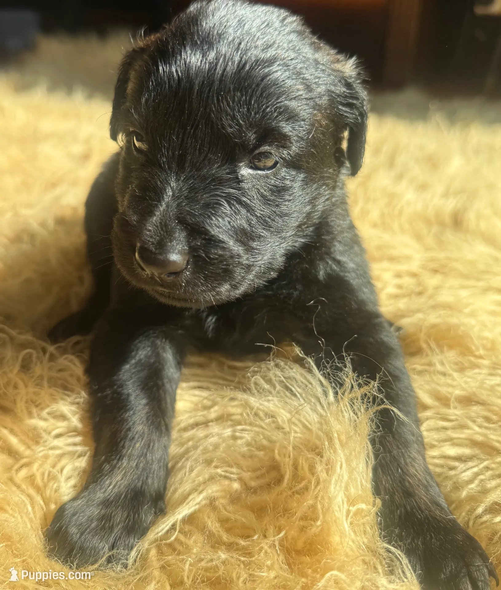 processed/fb225ce7-3e06-4363-afe2-b1c4a42039be/listing/edff5f77-53e0-4663-8291-49b66714ad33/d301af17-8831-4414-8b23-b408bbc39c95