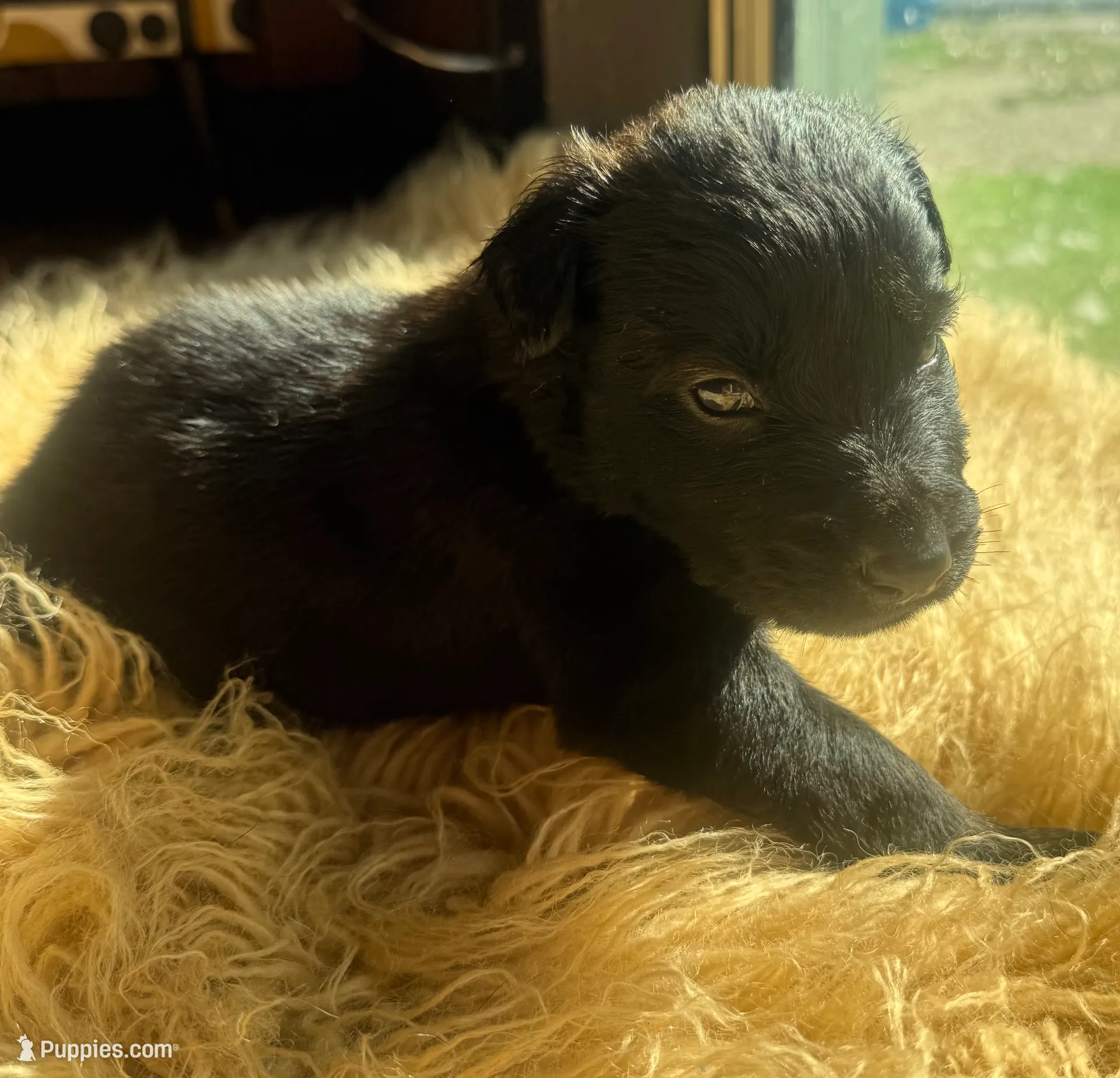 processed/fb225ce7-3e06-4363-afe2-b1c4a42039be/listing/edff5f77-53e0-4663-8291-49b66714ad33/f2f7c98b-bcfc-420a-8a3e-e2dce2c1d686