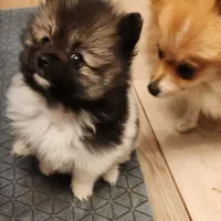 processed/fb230dd1-e0da-452e-a77f-d59e869722eb/facility/4f003309-706c-4e0a-a113-90fe3fed39d7