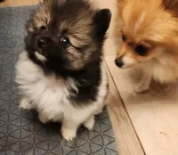 processed/fb230dd1-e0da-452e-a77f-d59e869722eb/facility/4f003309-706c-4e0a-a113-90fe3fed39d7