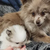 processed/fb230dd1-e0da-452e-a77f-d59e869722eb/facility/5bb4715e-8414-4a5d-b8aa-f493beb28e2b