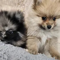 processed/fb230dd1-e0da-452e-a77f-d59e869722eb/facility/6c47ba8f-0b5f-4d68-9ed8-04b9456a35a0