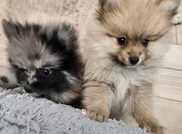 processed/fb230dd1-e0da-452e-a77f-d59e869722eb/facility/6c47ba8f-0b5f-4d68-9ed8-04b9456a35a0