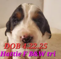 processed/fb2573d9-9dac-45fd-a17b-07913f7d19c9/listing/9e165b74-ebfb-48d1-98b9-2715369e27ab/d11d48da-aacd-47ea-8281-b02eb4b61a69