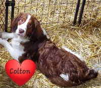 processed/fb2573d9-9dac-45fd-a17b-07913f7d19c9/listing/e39dcfc4-801a-4a40-9b87-77bdeb05906a/2158b77d-21d5-4d82-810d-64298c5327b8