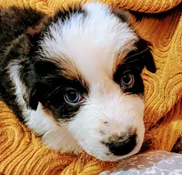 processed/fb2ab9a6-27a8-4964-a8f6-7871a3080db0/listing/89048bca-d6e3-4156-bab4-8a64ada03923/66656262-0a27-4e28-909e-56af1cf26710