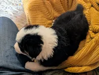 processed/fb2ab9a6-27a8-4964-a8f6-7871a3080db0/listing/89048bca-d6e3-4156-bab4-8a64ada03923/6f162655-e783-4f74-8071-394e113fc417