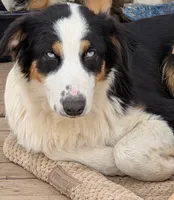 processed/fb2ab9a6-27a8-4964-a8f6-7871a3080db0/listing/89048bca-d6e3-4156-bab4-8a64ada03923/836ed8ff-6113-4d00-ae7b-9b3bb00bd236