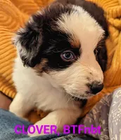 processed/fb2ab9a6-27a8-4964-a8f6-7871a3080db0/listing/89048bca-d6e3-4156-bab4-8a64ada03923/97006692-ef53-48b5-b4c6-2d612127b804