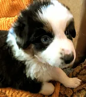 processed/fb2ab9a6-27a8-4964-a8f6-7871a3080db0/listing/89048bca-d6e3-4156-bab4-8a64ada03923/c4f30283-57a3-4090-9579-c0e5b9bf1bcc