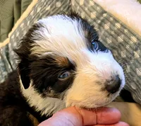 processed/fb2ab9a6-27a8-4964-a8f6-7871a3080db0/listing/89048bca-d6e3-4156-bab4-8a64ada03923/dc540f95-a431-4f27-83f6-2ab7e373e947