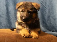 processed/fb2eb8ee-fd87-4429-9c8b-42b724539a95/facility/375c0a39-8c6b-44ab-822e-cb683c57c9dd