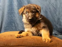 processed/fb2eb8ee-fd87-4429-9c8b-42b724539a95/facility/50766784-7700-4eab-9fb4-5745b273e4fb