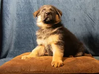 processed/fb2eb8ee-fd87-4429-9c8b-42b724539a95/facility/5d581ed6-f9ed-4536-8683-92e51869386a