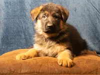 processed/fb2eb8ee-fd87-4429-9c8b-42b724539a95/facility/696e365e-ca9b-49aa-8ba5-d5f427abee50