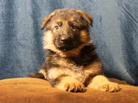 processed/fb2eb8ee-fd87-4429-9c8b-42b724539a95/facility/bf5f1552-9439-46ad-84ab-673b12bf8a6f