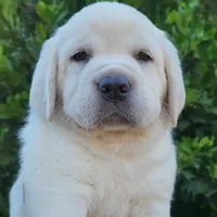 processed/fb3d6e57-85fb-482c-82d8-f70a1399c203/facility/13159804-774c-4841-a835-7d04209eebbc